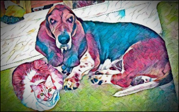 picture of Sig and Malcolm